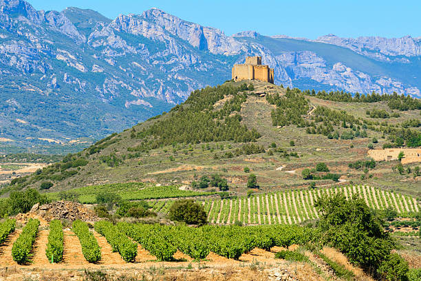 A Guide to Rioja